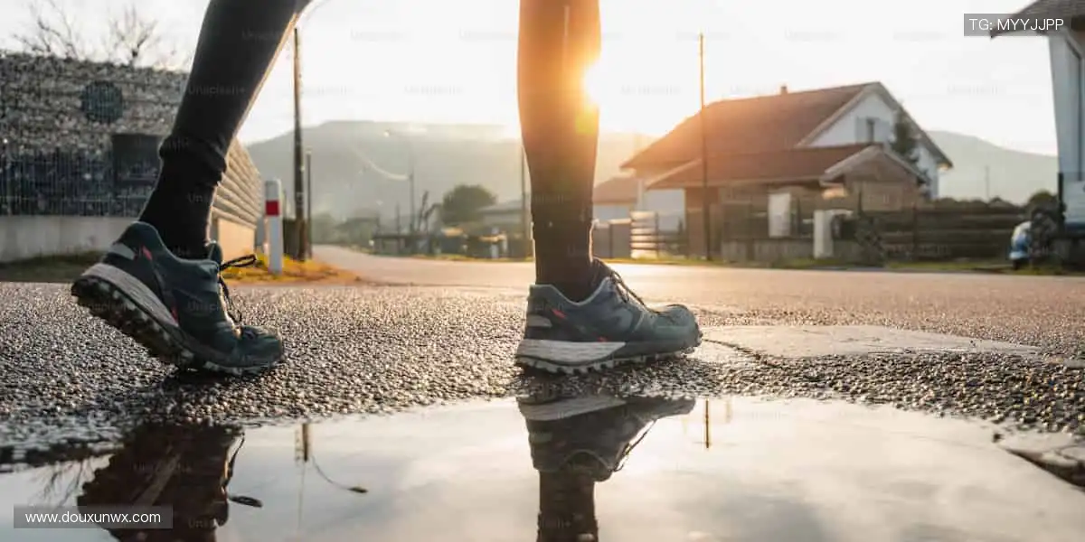 📱 实时比分、精彩回放，